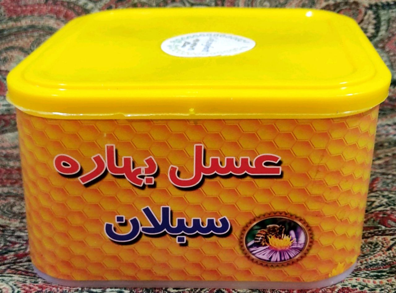 مغزی برای تمام سنین